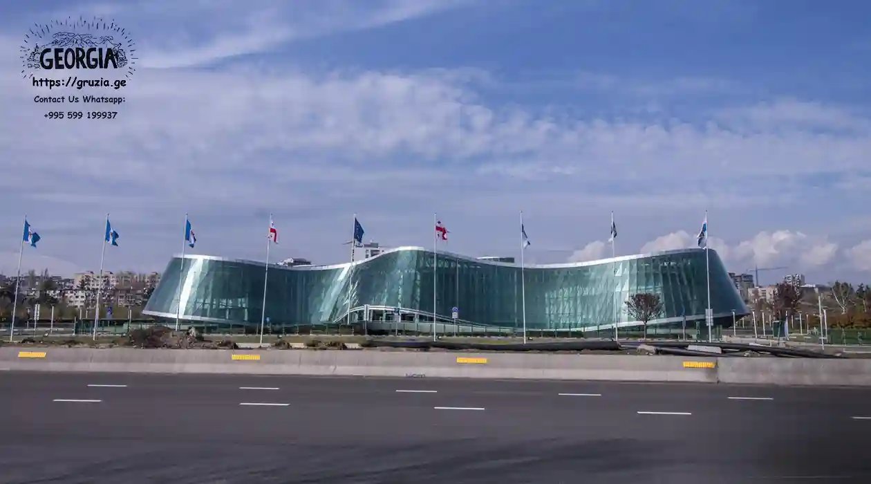 МВД Грузии