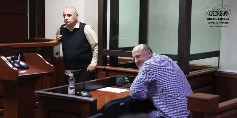 Зураб Джапаризе лидер партии