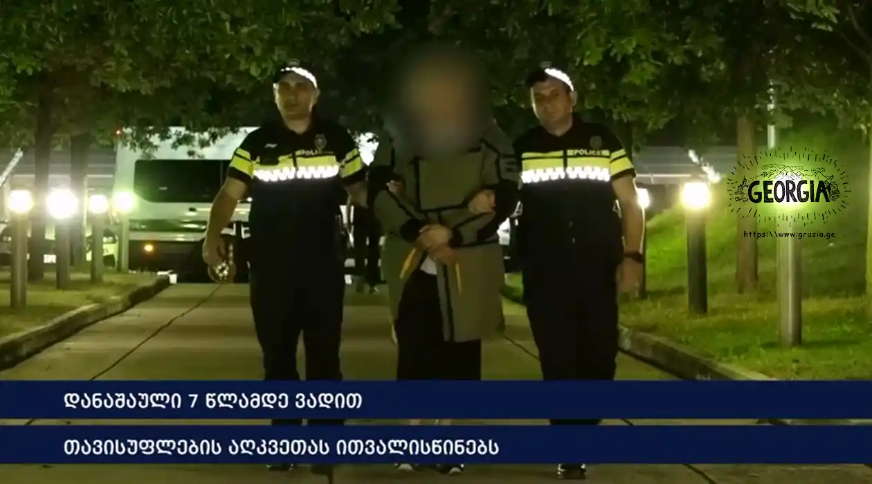 Попытка повторить майдан на проспекте Руставели