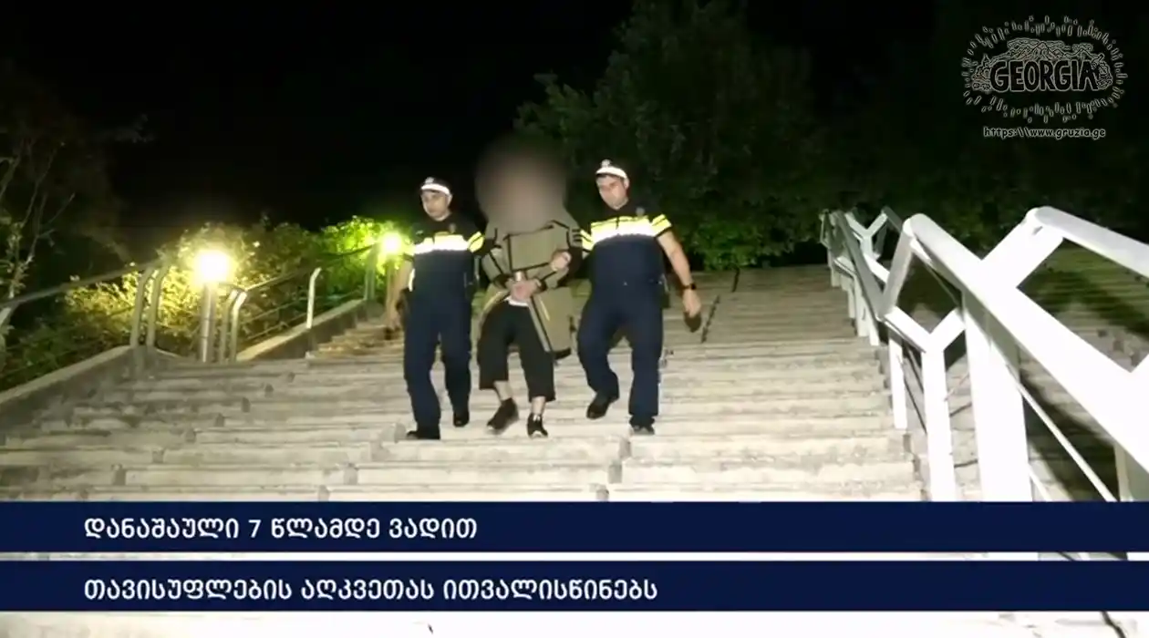 Попытка майдана в Тбилиси