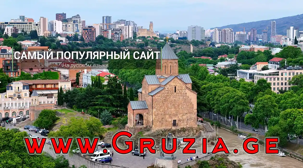 Gruzia.ge Partners