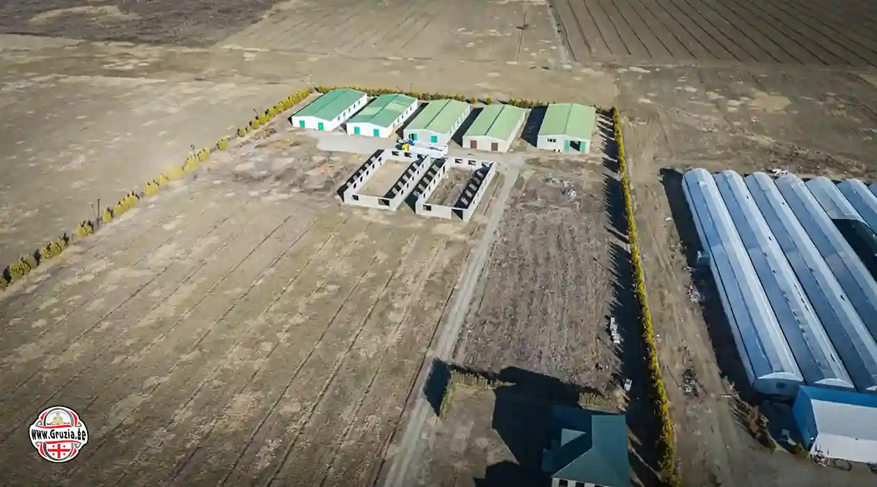 Продаётся ферма в Грузии